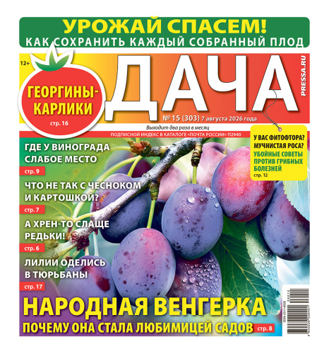 Газета ДАЧА